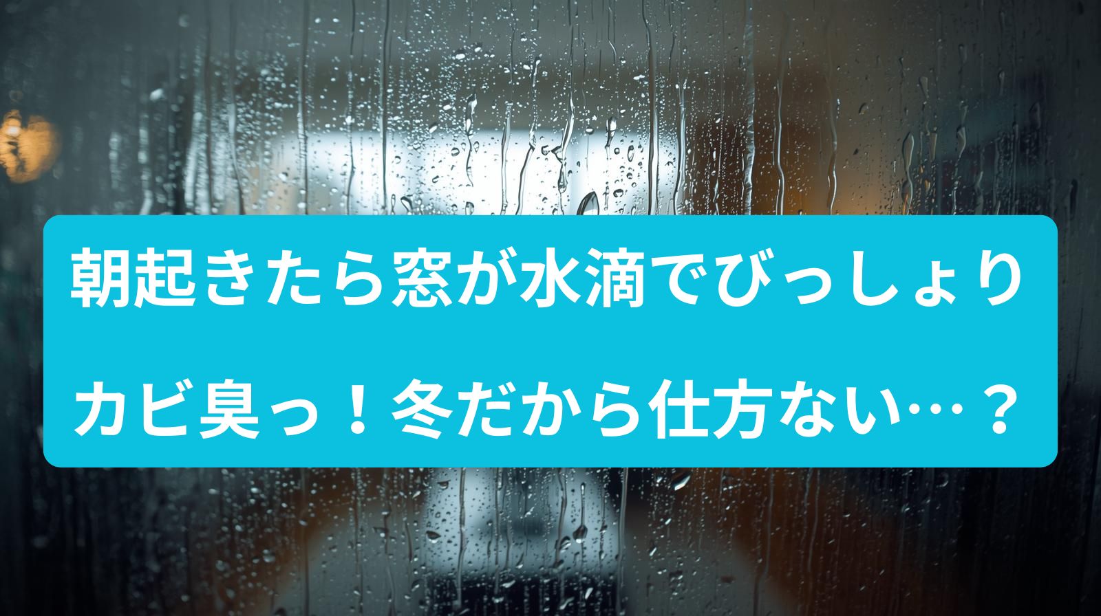 朝起きたら窓が水滴でびっしょり。カビ臭っ！冬だから仕方ない…？　でも放置は危険です