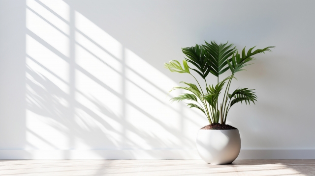 「昼間でも暗い廊下や階段は、気分まで下がってしまいます」　階段・廊下にも自然光を入れる注文住宅の間取りのコツ