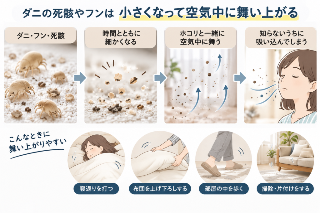 死骸やフンは小さくなって空気中に舞い上がる